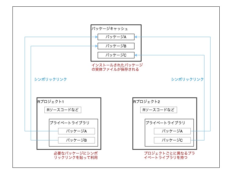 図：renv パッケージキャッシュとプライベートライブラリ